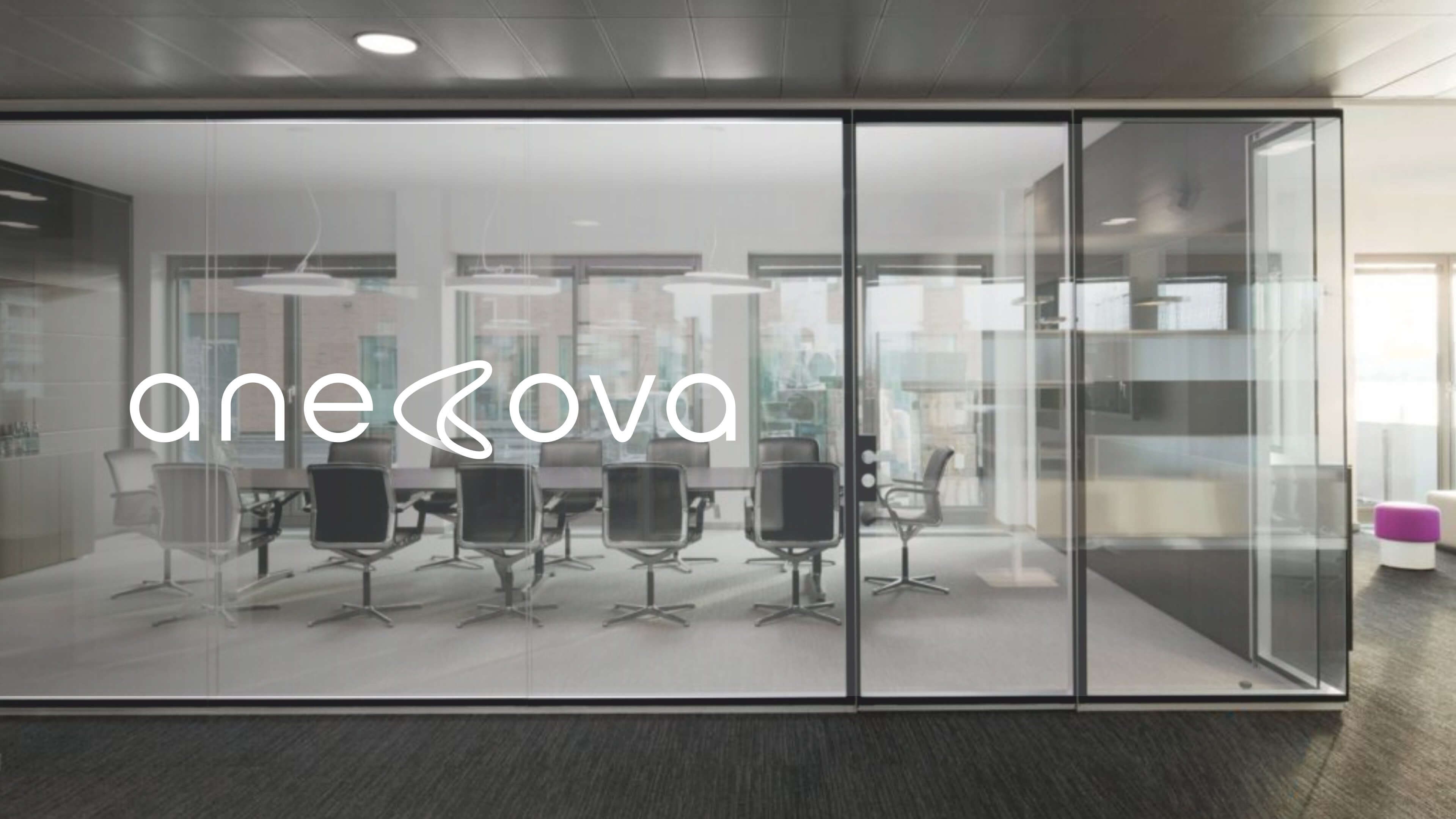 Anecova image 24