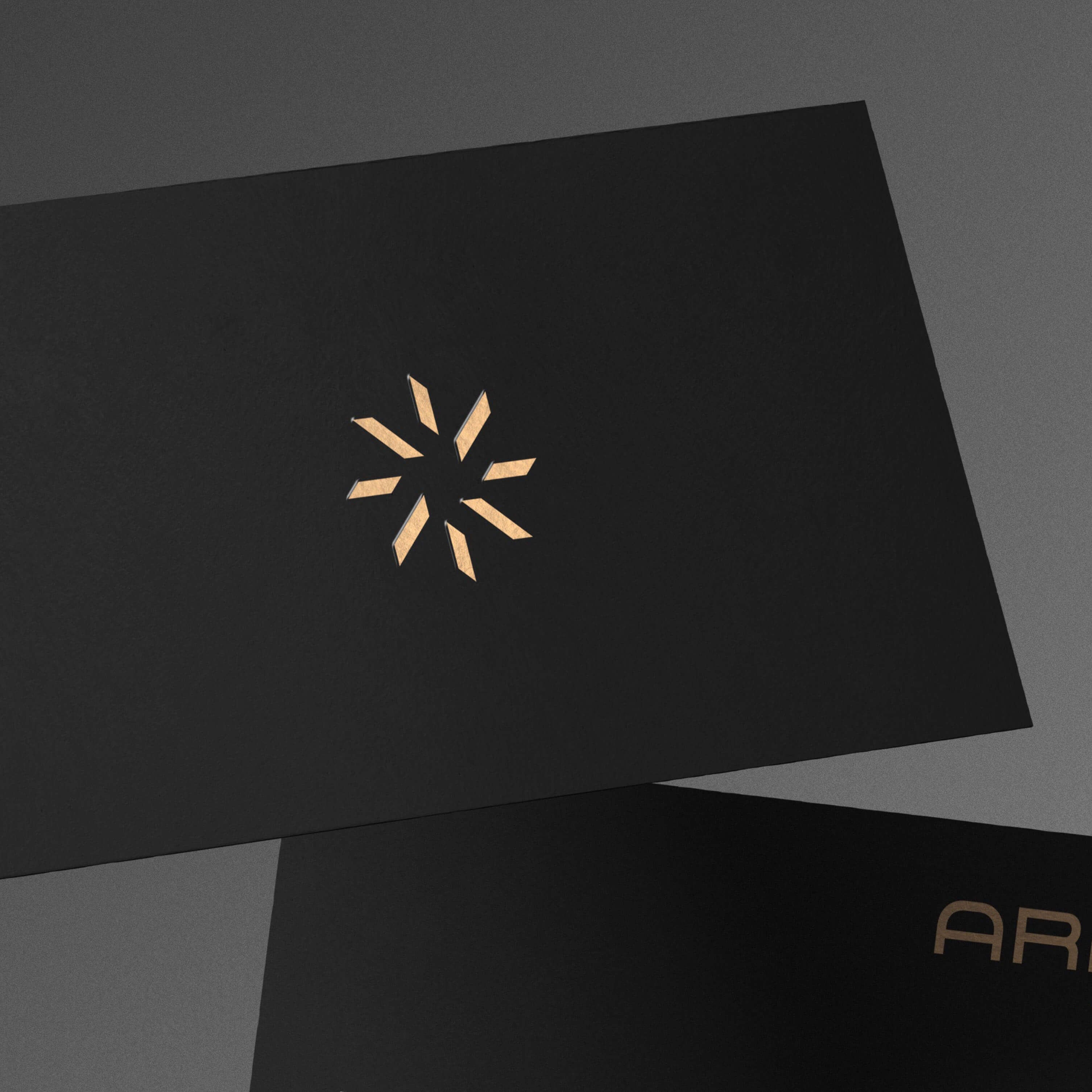 Aras Group image 11