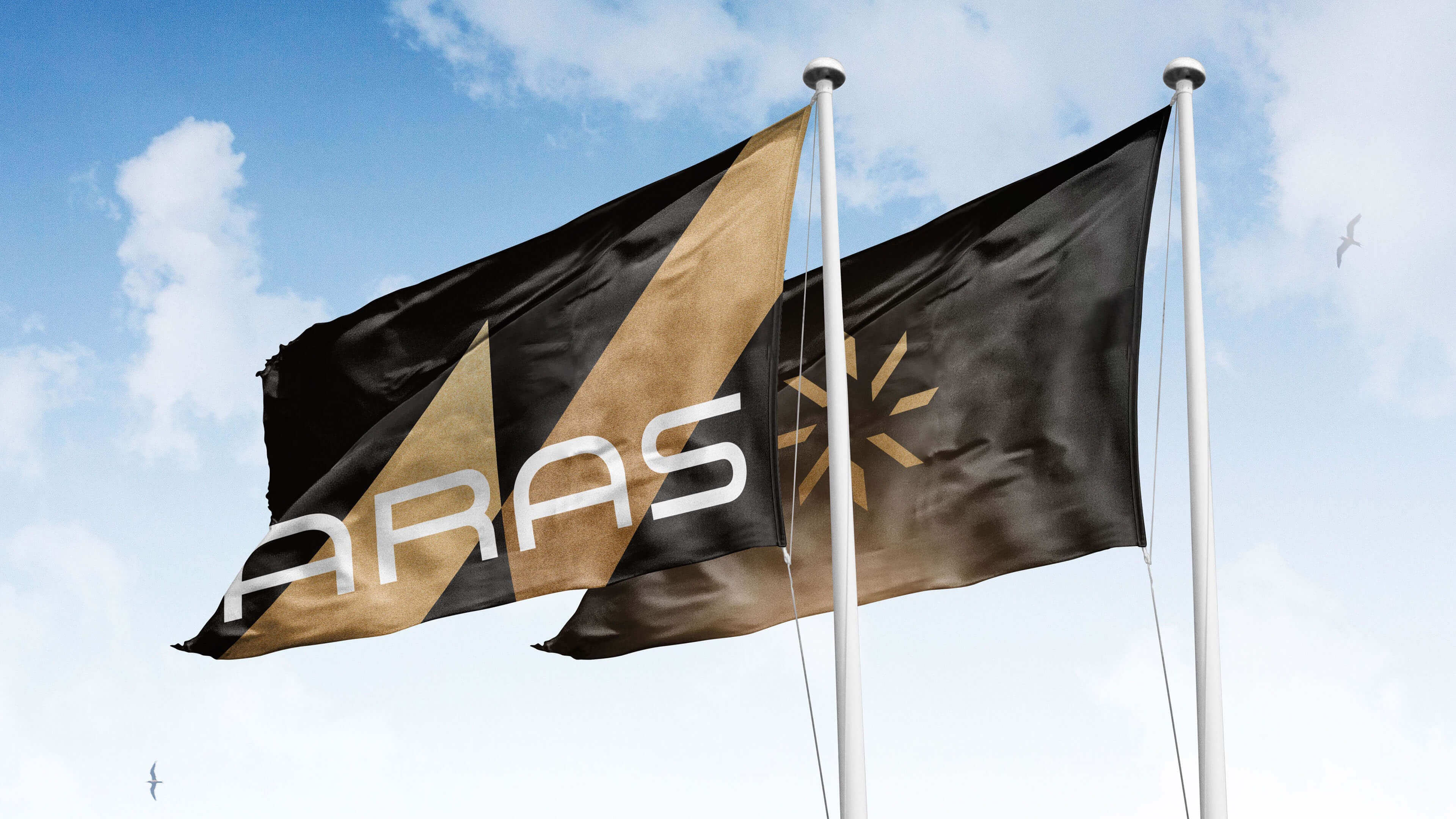 Aras Group